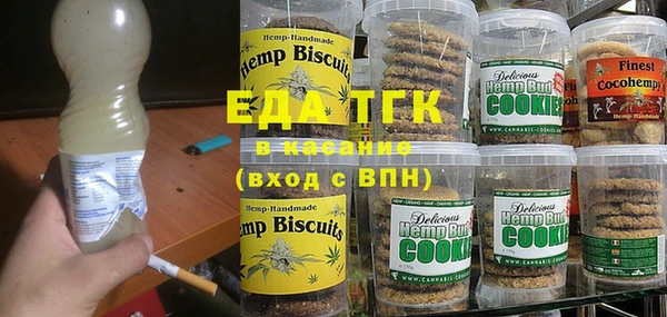 шишки Надым