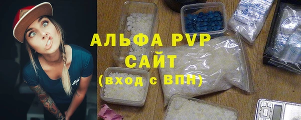 шишки Надым