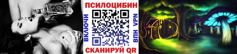 Галлюциногенные грибы Psilocybe  гидра tor  Нестеров  купить наркотики цена 