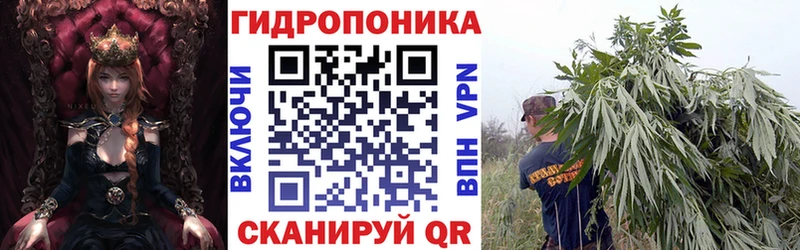 OMG как зайти где найти Нестеров Бошки Шишки Bruce Banner